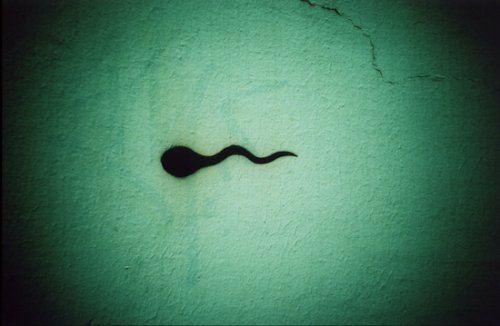 [spermatozoide.jpg]