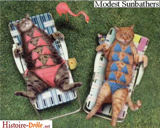 [image-drole-57.jpg]