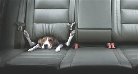 [spectacular-photos-09.jpg]