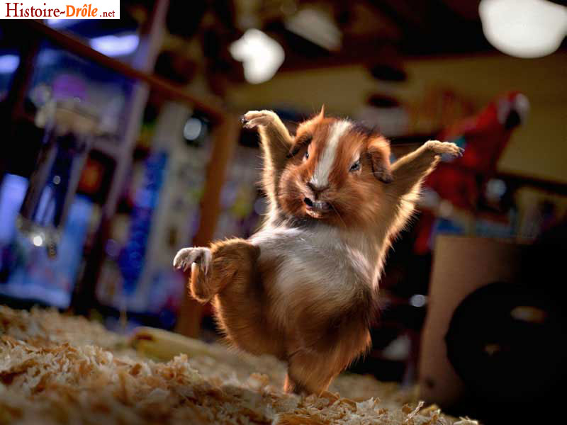 [image-drole-55.jpg]