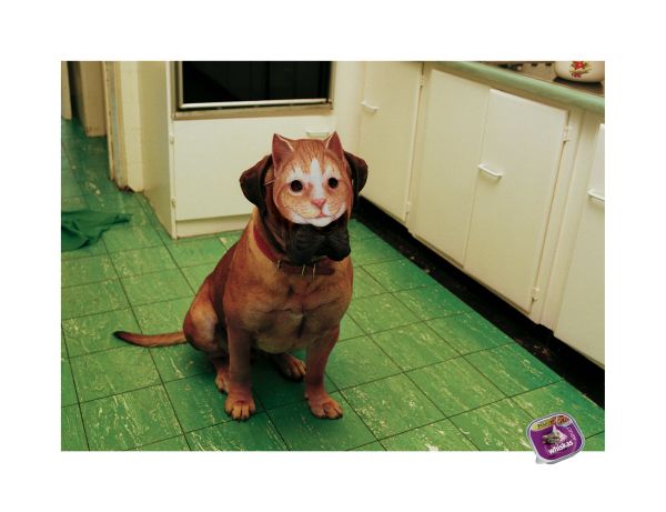 [seaspace_070913_13.jpg]