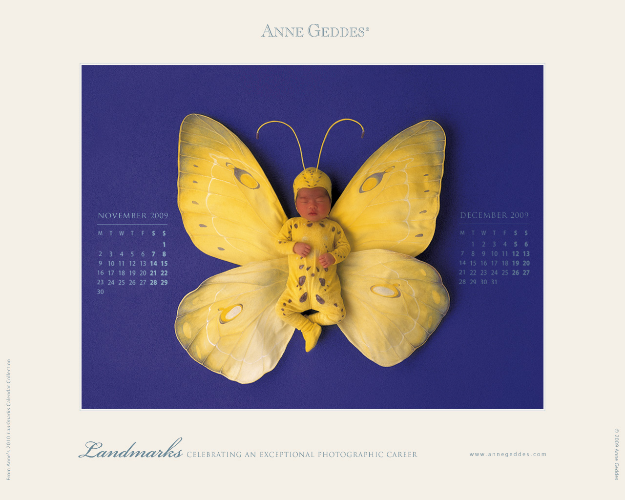 [AnneGeddes_Wallpaper1280_374.jpg]