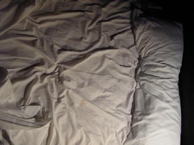 [IMGP5603+-+peq.jpg]