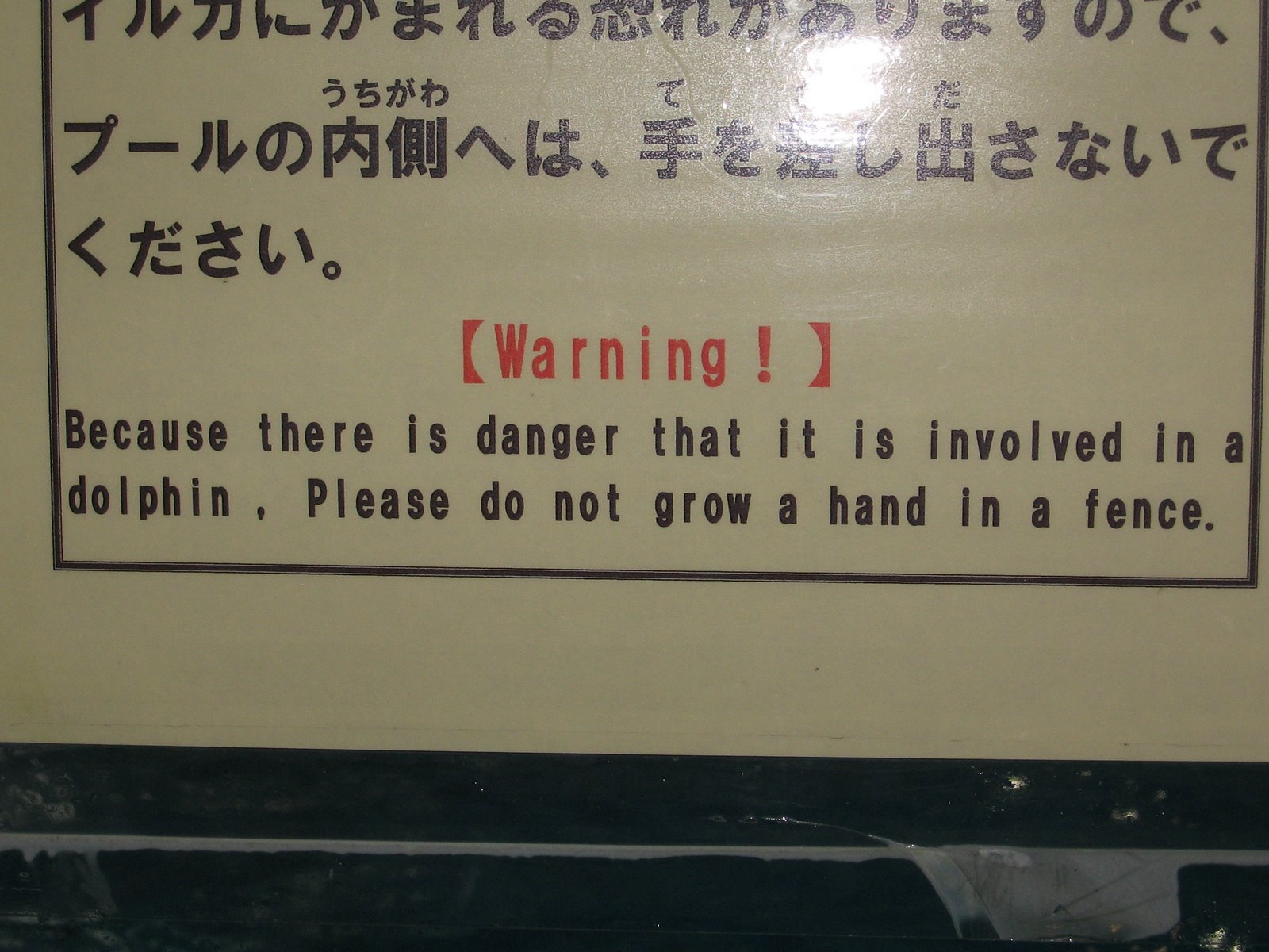 [IMG_0419.JPG]