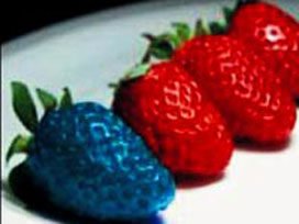 [türkiyede+gdolu+ürünler.jpg]