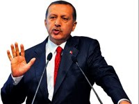 [recep+tayyip+erdoğan+domuz+gribi+açıklama.jpg]