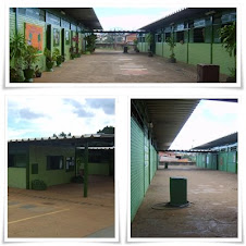 Escola Classe 13 de Sobradinho: Proposta Pedagógica