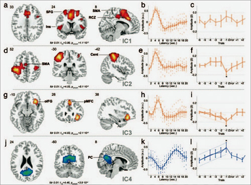 Частоты головного мозга