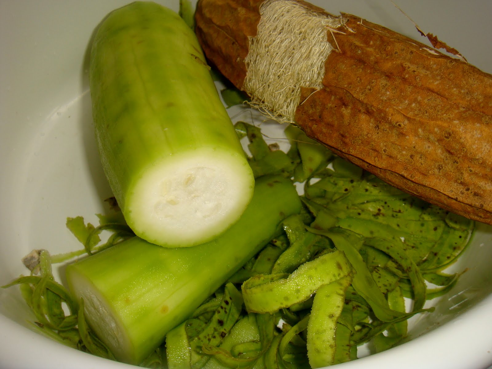 comese Buchapaulista, maxixedopará. Uso interno e