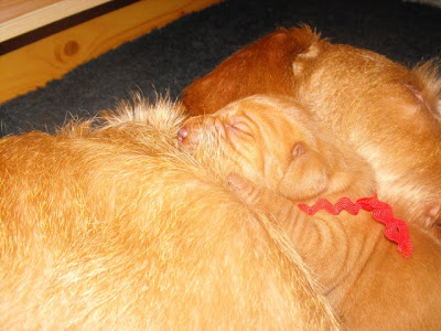 DSCF2741.JPG
