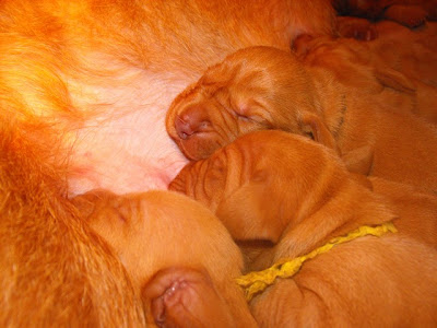 DSCF2730.JPG