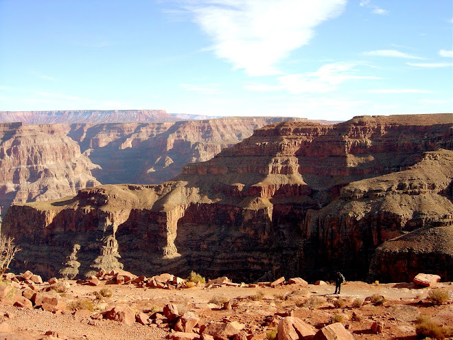 GRAND CANYON 5