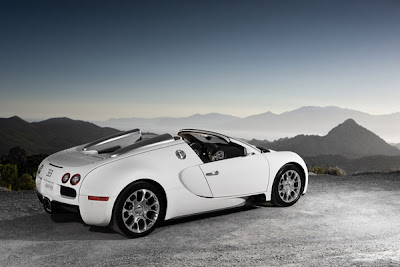 Bugatti Veyron Cabrio Sport Car