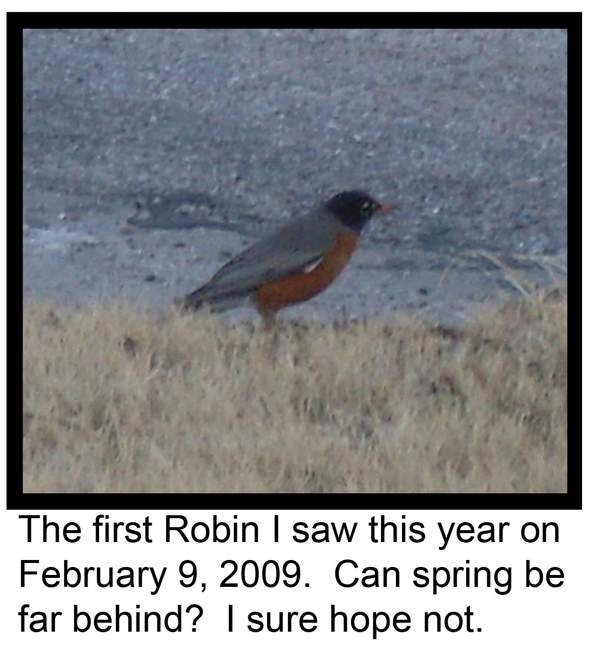 [First+Robin.jpg]