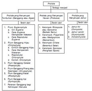 Gambar Protista Mirip Jamur Tumbuhan Dan Hewan Gambar Gambar Tumbuhan
