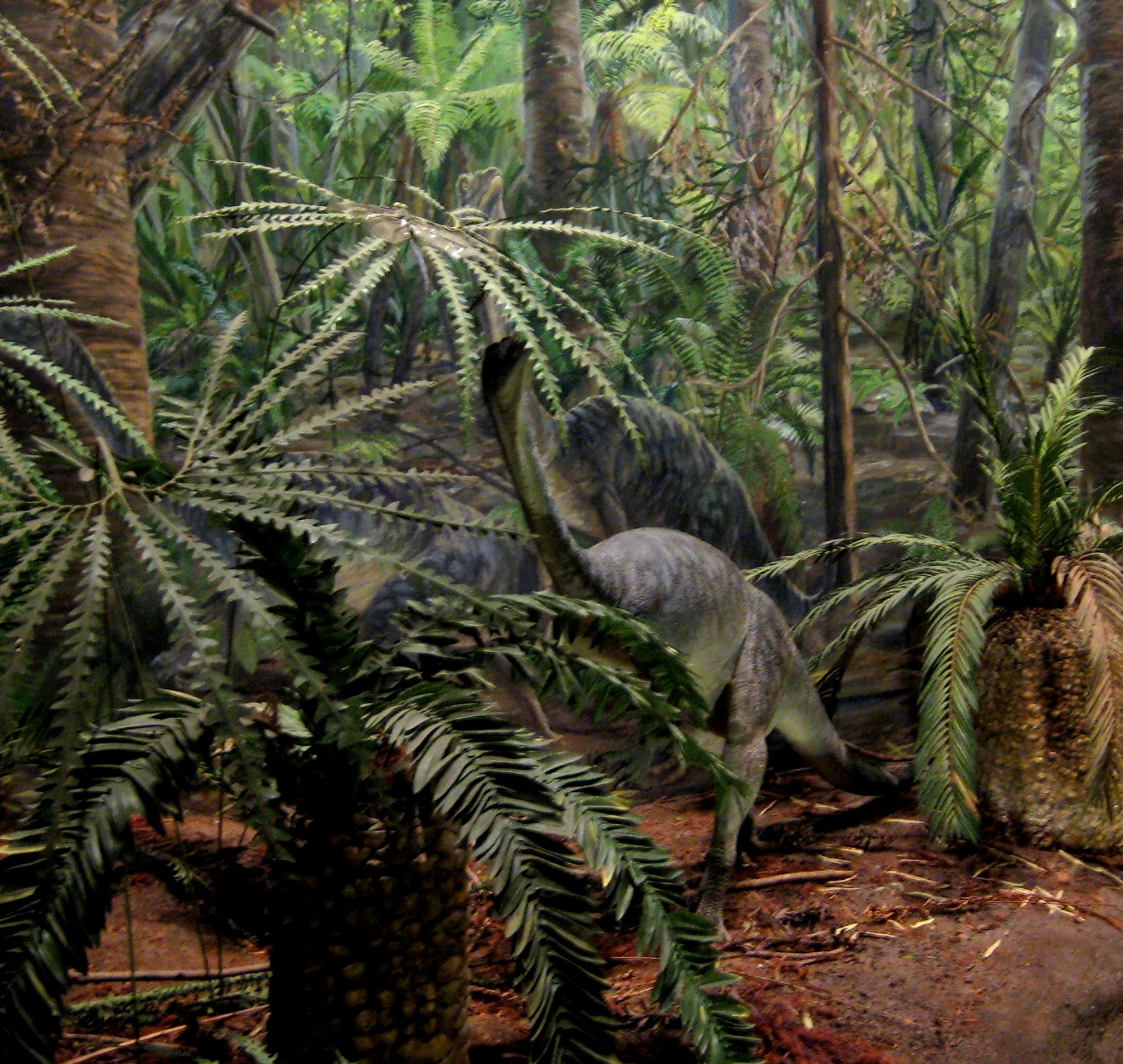 [anchisaurus+plant+eating+prosauropod.jpg]