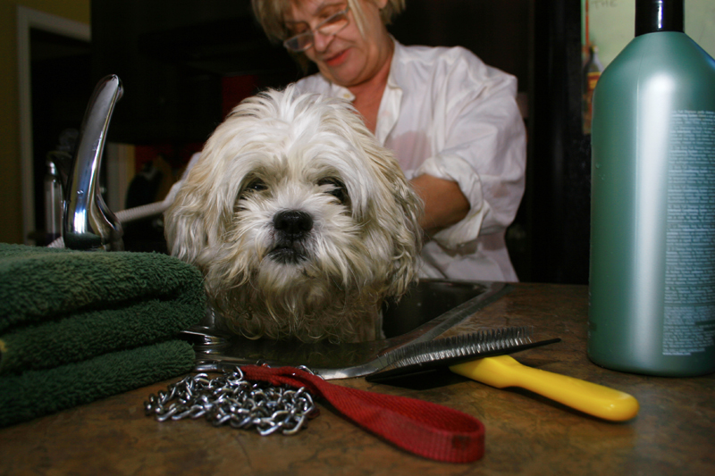 [cachou-+oh+non.jpg]