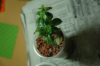 Cat-sushi Log: 09\/01\/18 - 09\/01\/25