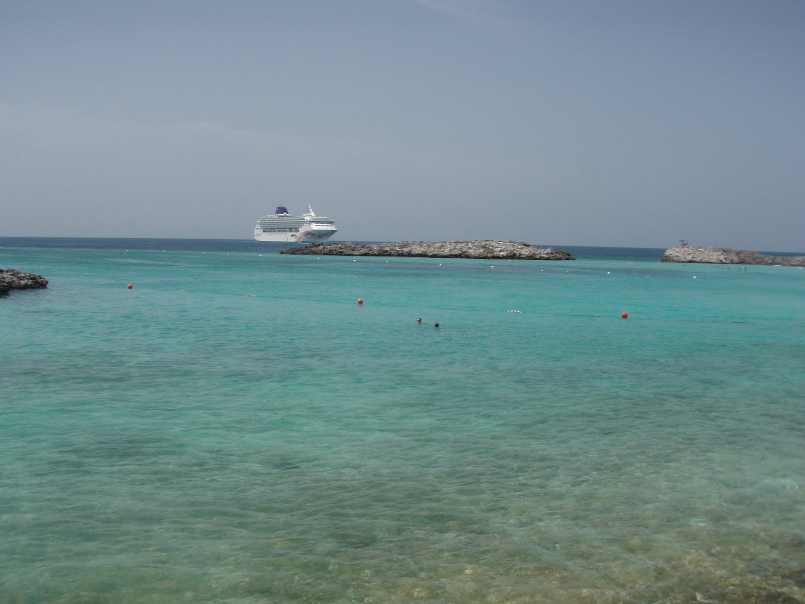 GrapeScot A Culinary Jewel in Algonquin Park