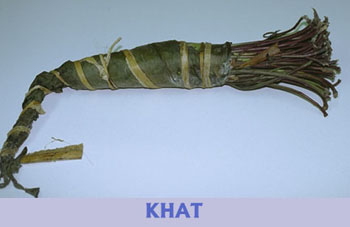 [Khat2.jpg]