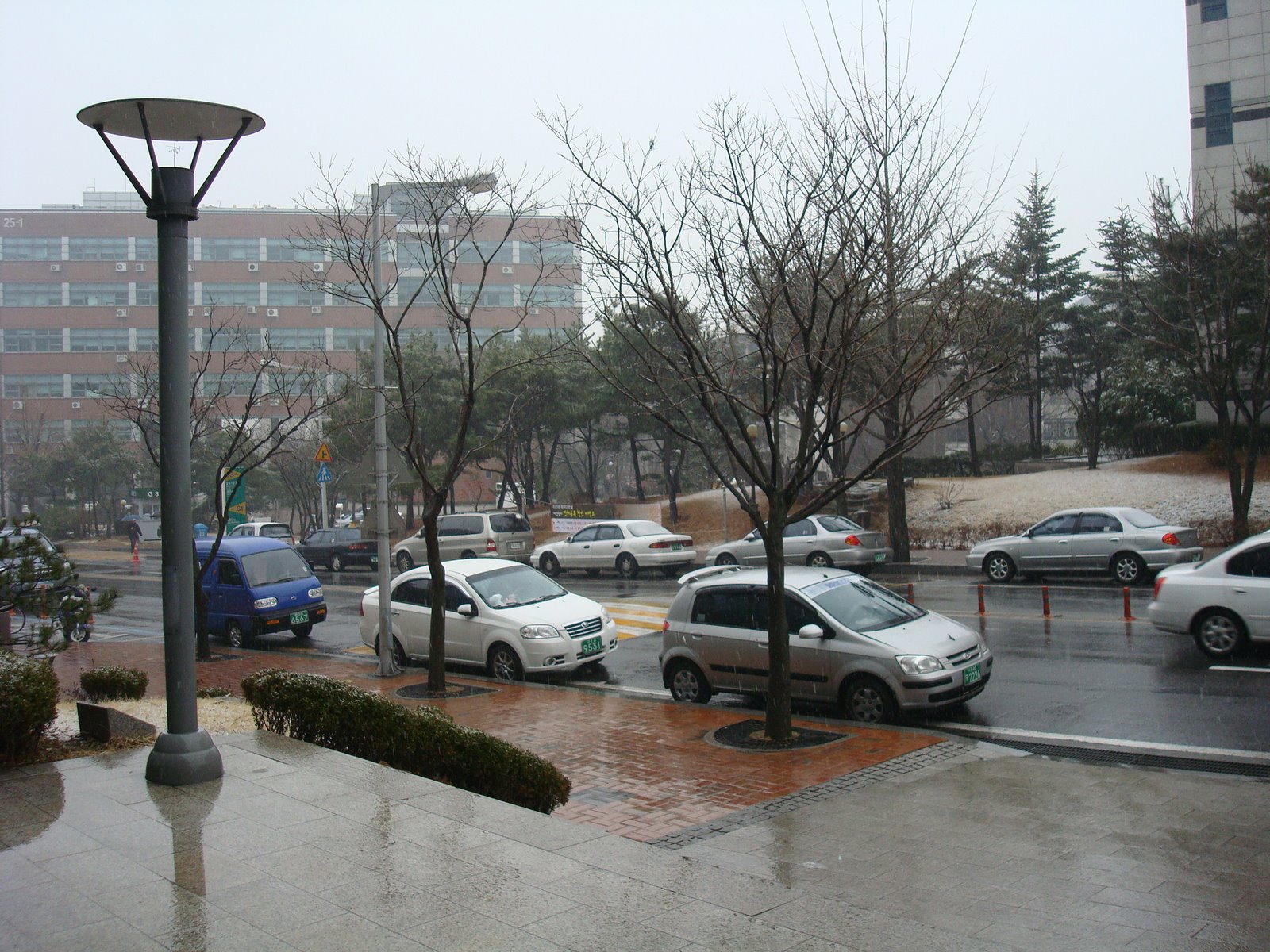 [DSC03255.JPG]