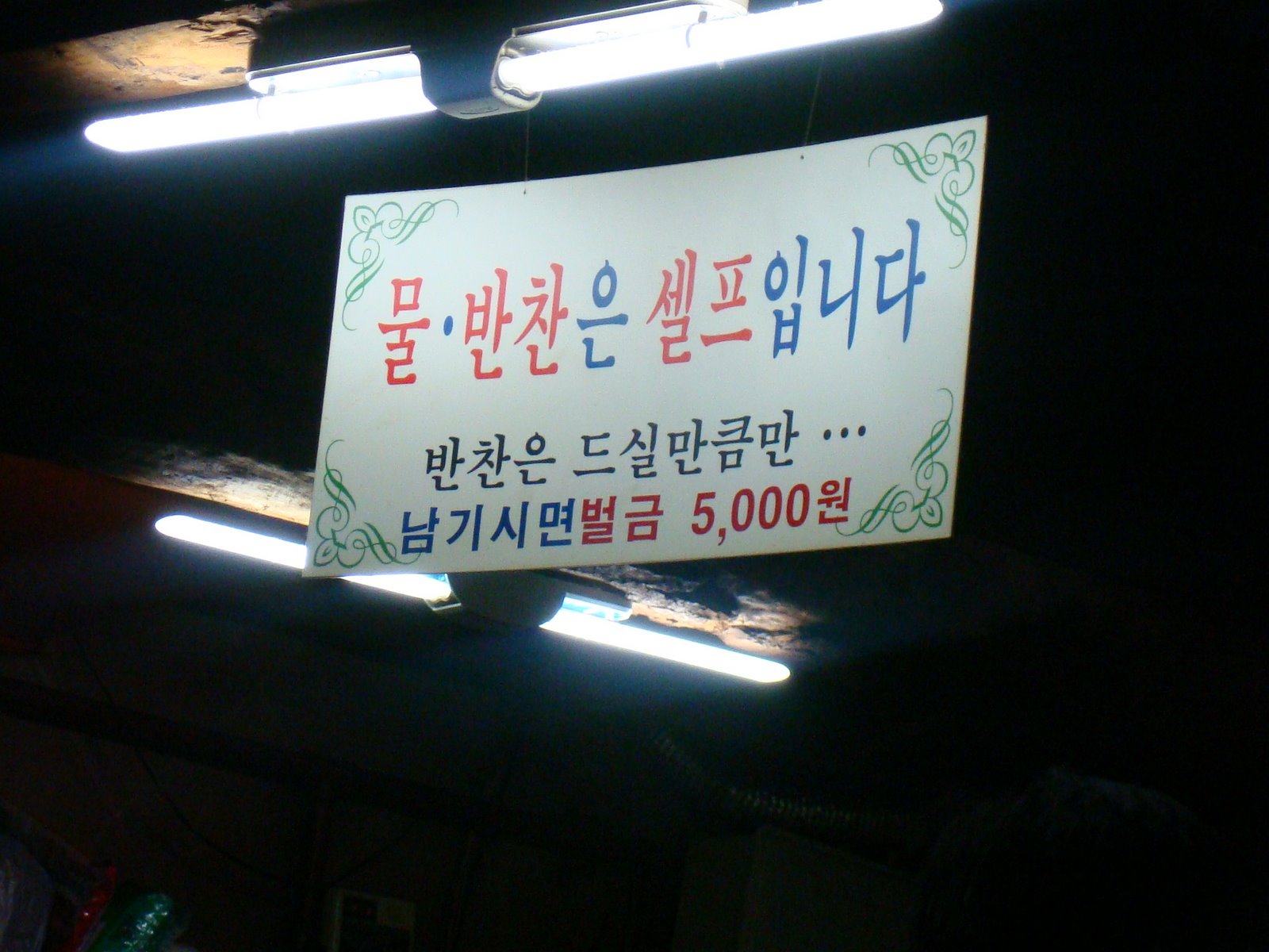 [DSC03359.JPG]