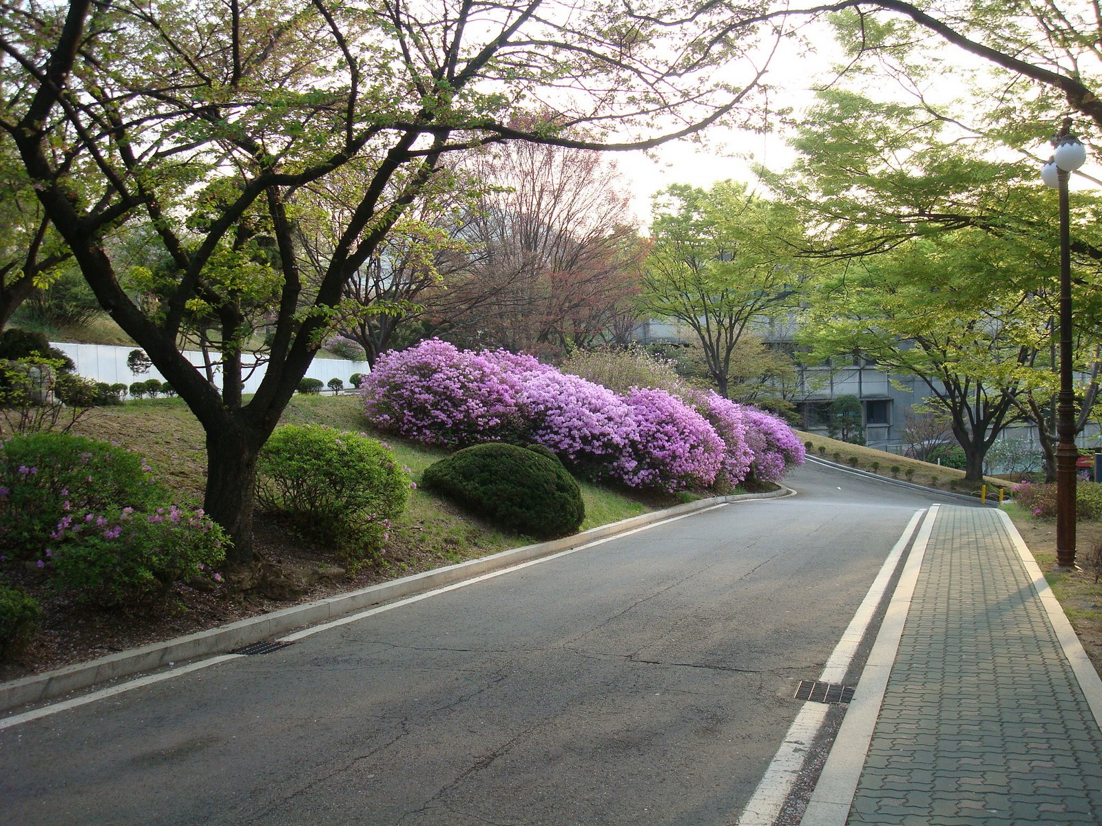 [DSC03440.JPG]