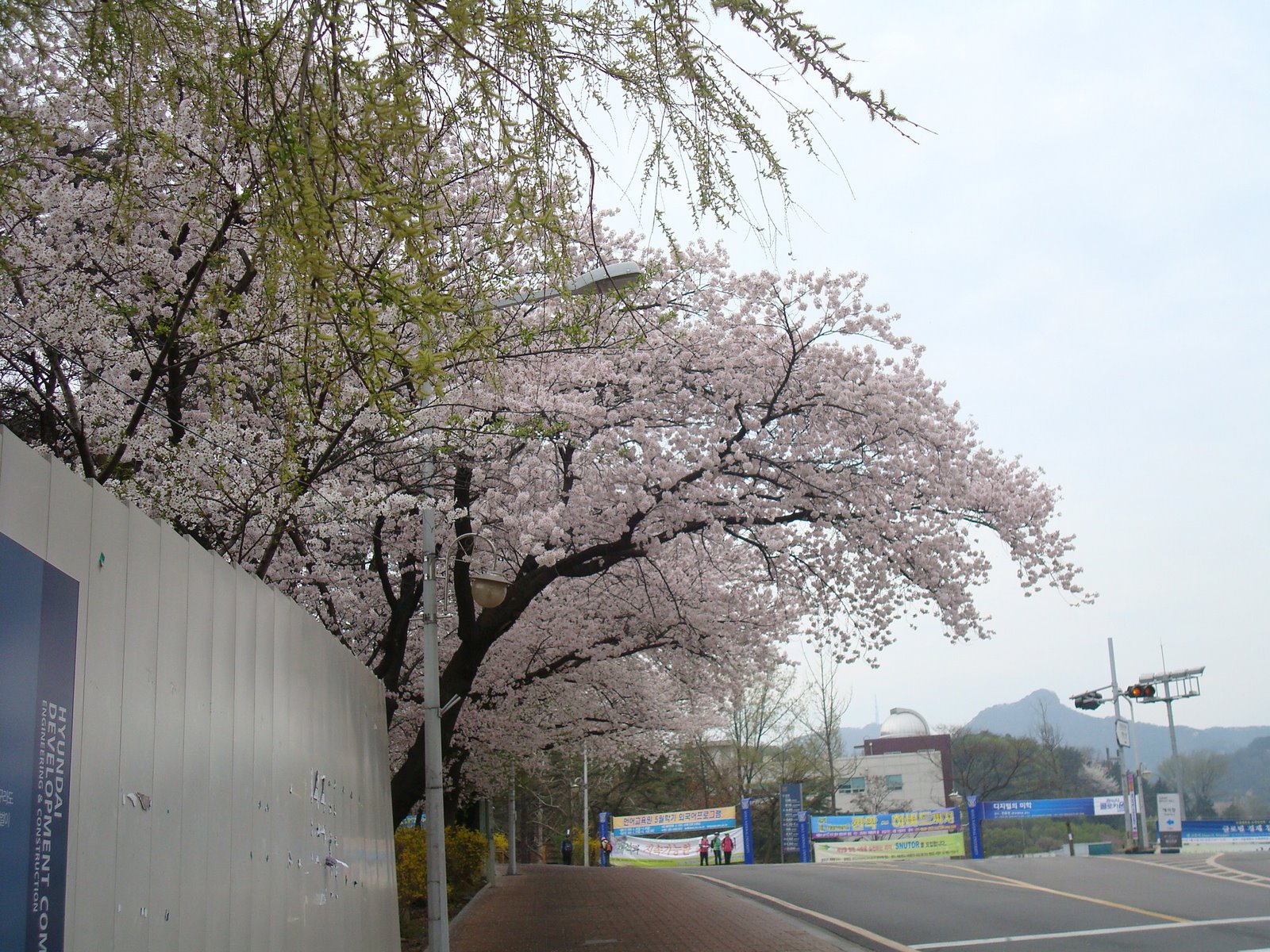 [DSC03385.JPG]