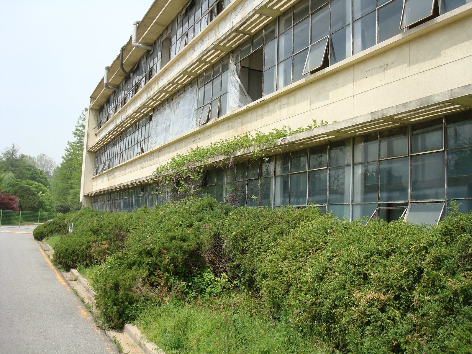 [DSC03501.JPG]