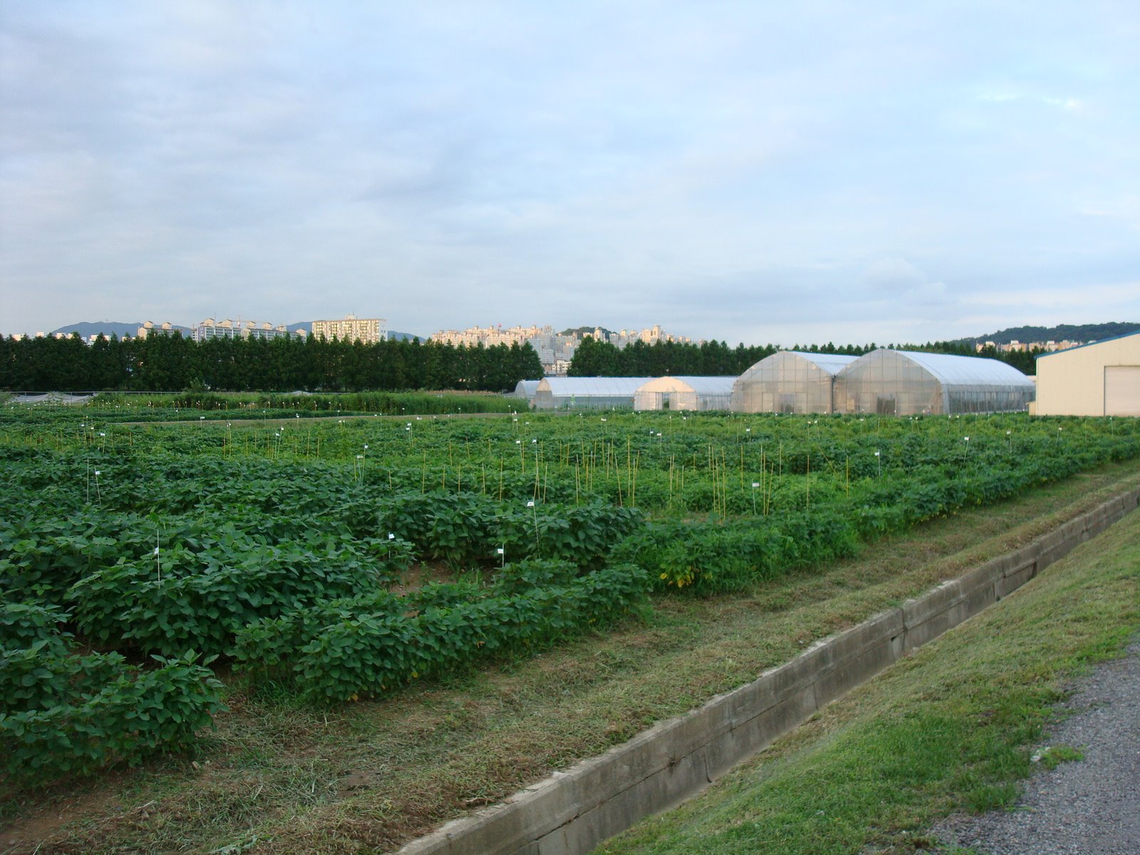 [DSC03885.JPG]
