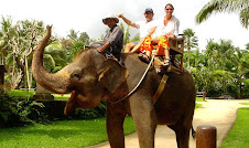 Elephant riding
