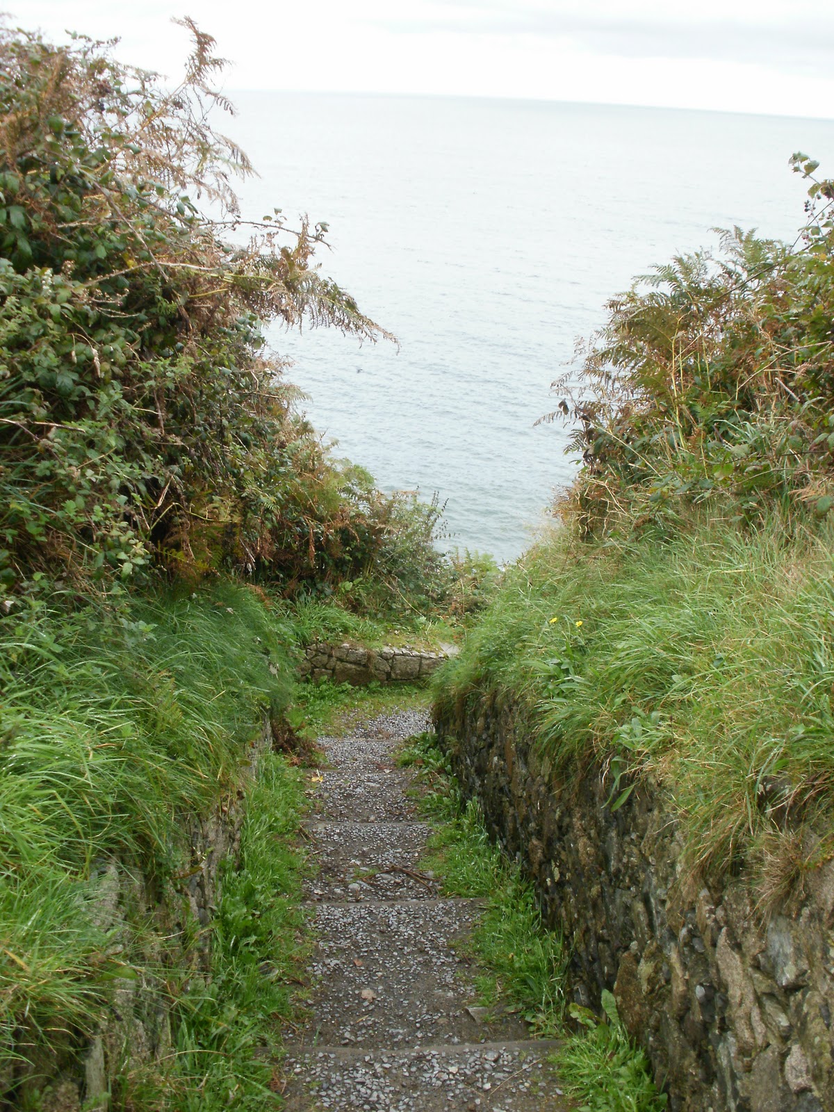Bookshelf Irish Tales