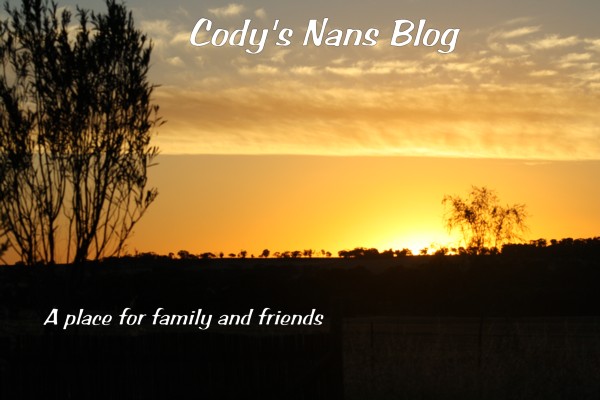 Cody's Nans Blog