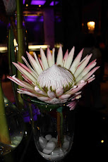 King Protea in the Floral Arangement in the hotel Lobby