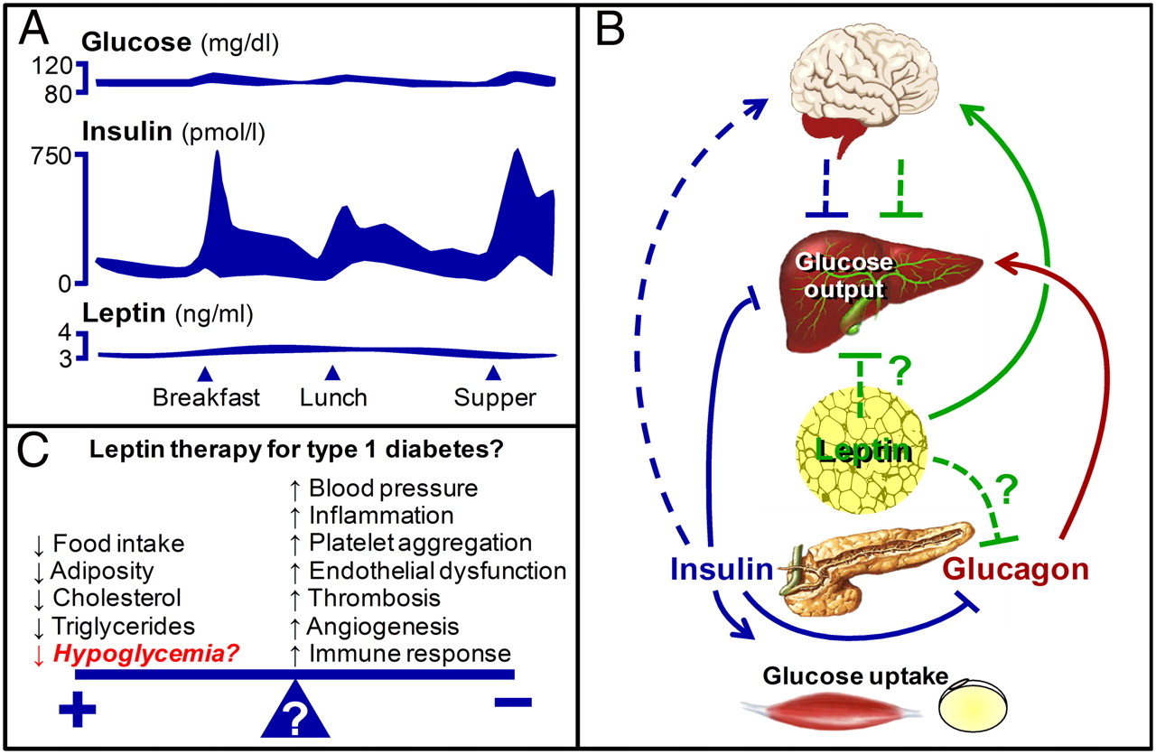 Jem Yeh Magnesium Deficiency & Diabetes