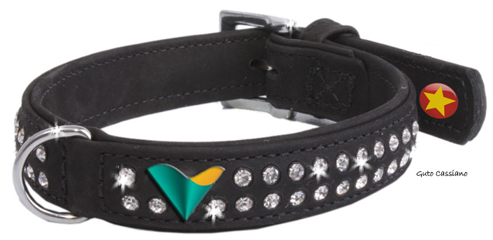 [acdlnvw+guto+cassiano.jpg]