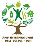 2011 - Any internacional dels boscos