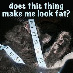 Best Weight-Loss Reviews