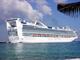 Join SWF42 on Caribbean Princess on February 20, 2011