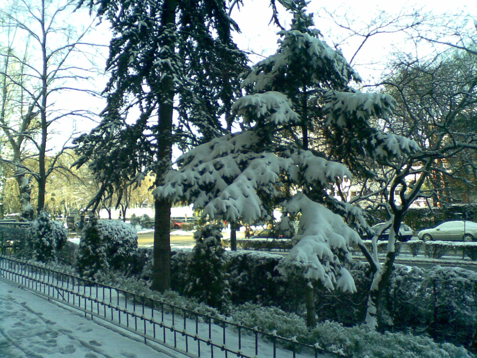 [Nevada100110_03.jpg]