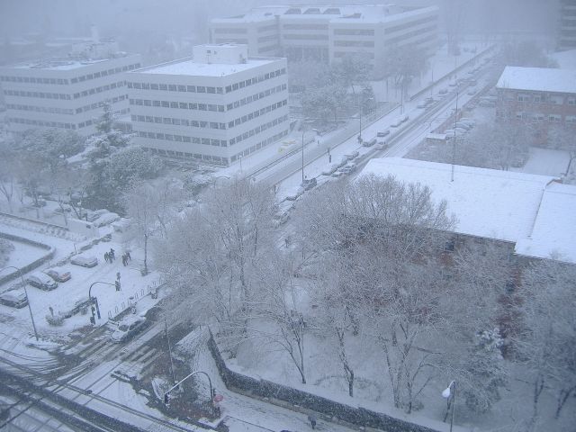 [Nevada090109+026.jpg]