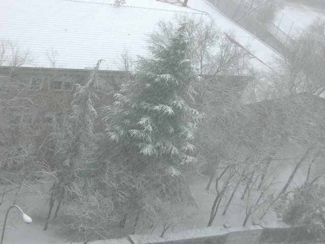 [Nevada090109+012.jpg]