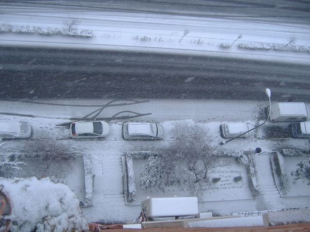 [Nevada090109+022.jpg]