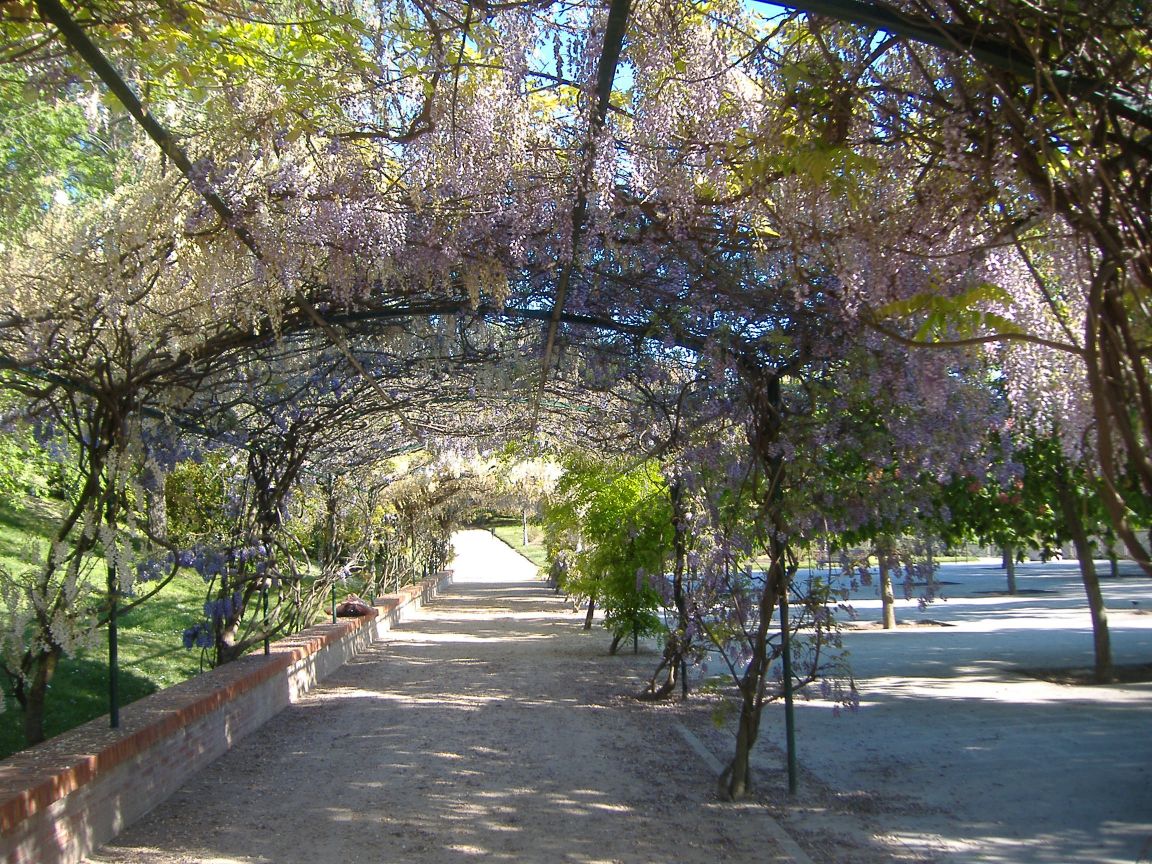 [ParquedelOeste_70.jpg]