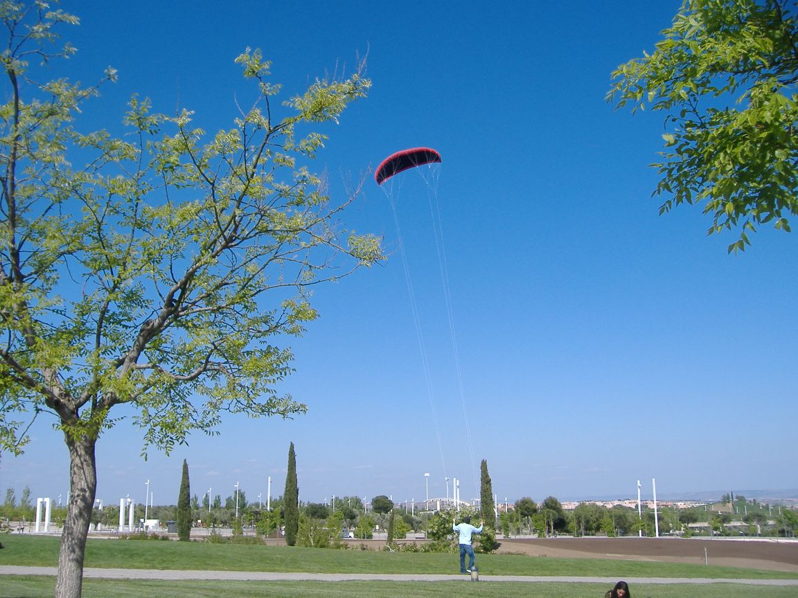 [ParqueJuanCarlosI_04.jpg]
