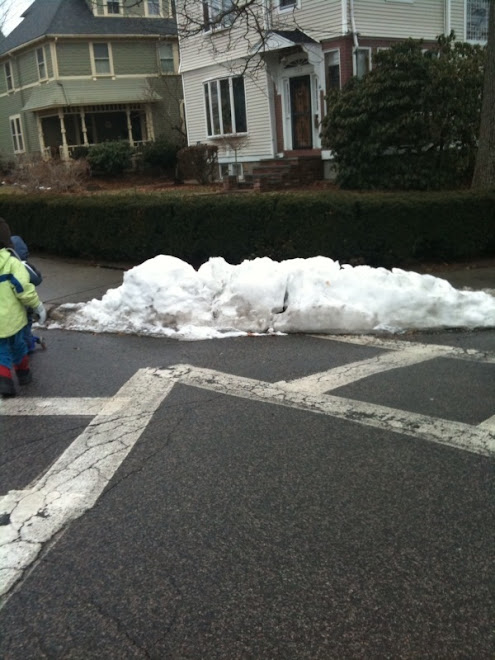 Fern Rd and Hancock Feb 10