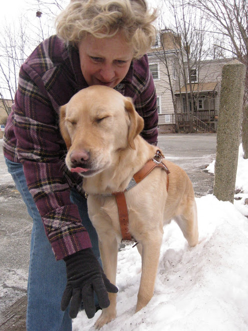 Careful! There is snow here!