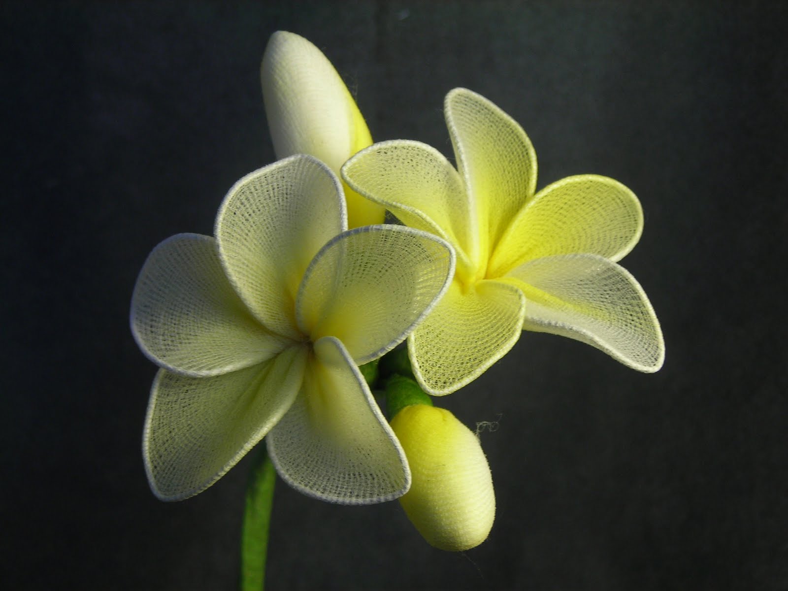 Rad Linc Crafts Making Nylon Flowers, Part 3 Making Plumerias