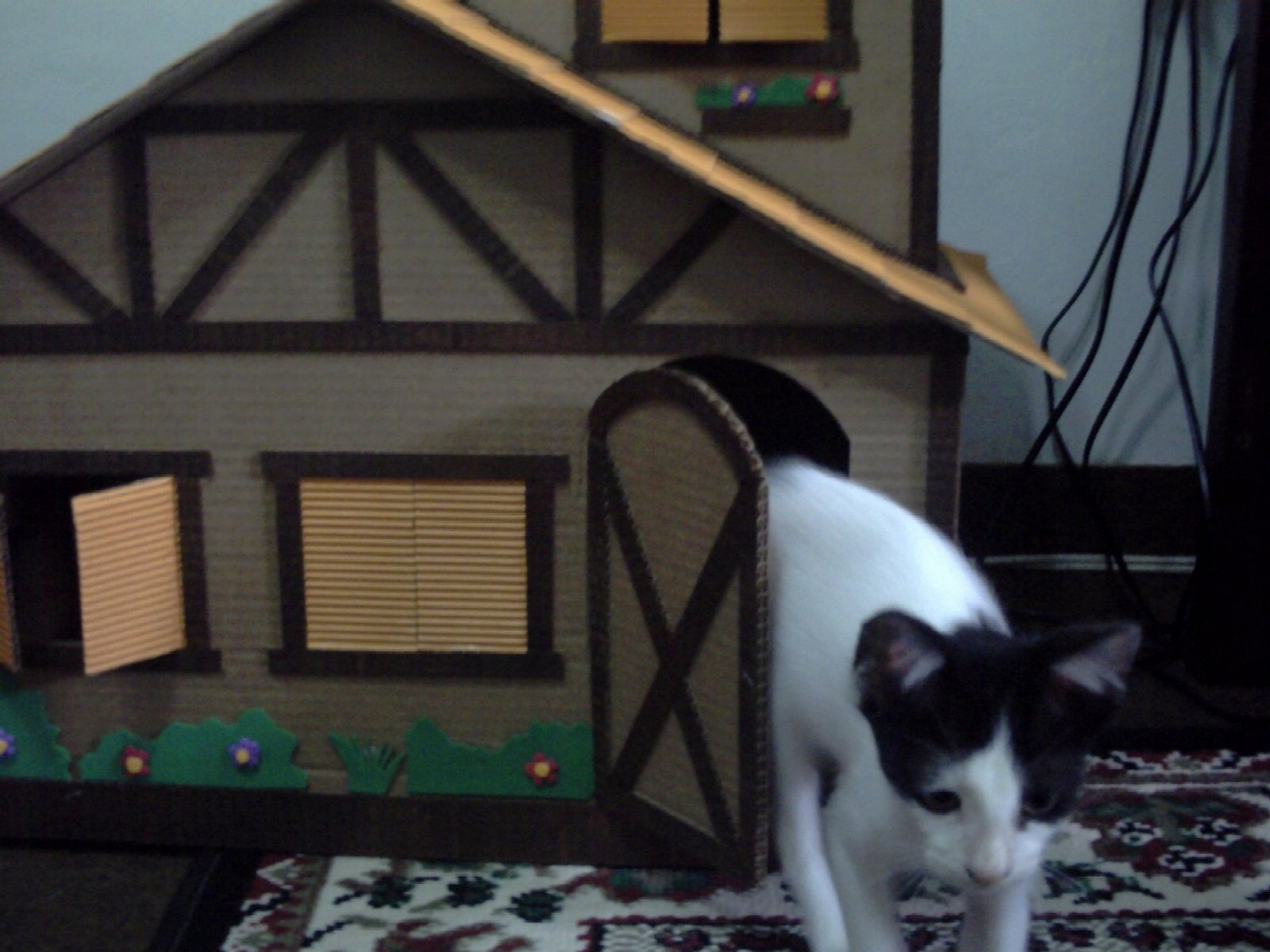 [casa+johnny+007.jpg]