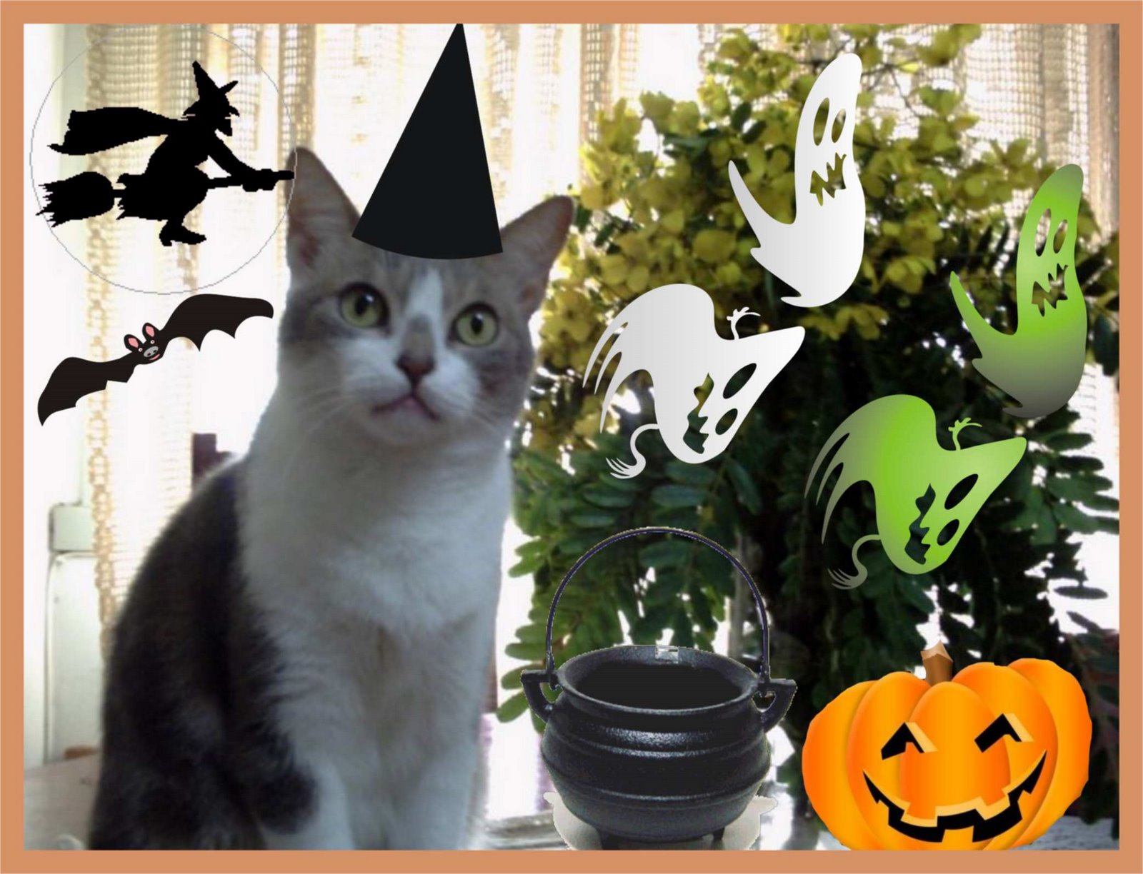 [Mina+halloween.jpg]